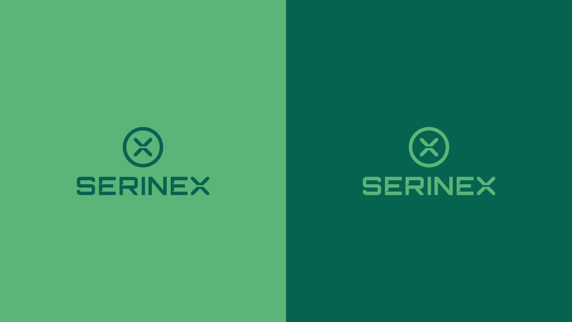 SERINEX_CAPORALI_presentazione_per case7